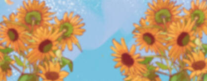 ✦ Terms of service ✦